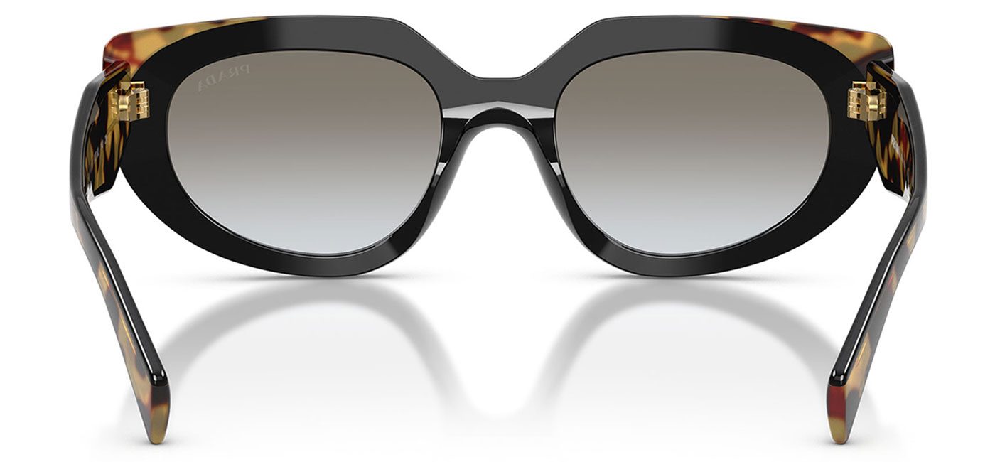 0PR_D02S__0CD80L__P21__shad__bk