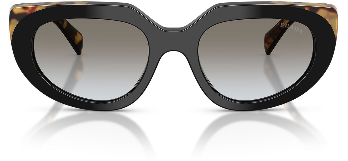 0PR_D02S__0CD80L__P21__shad__fr