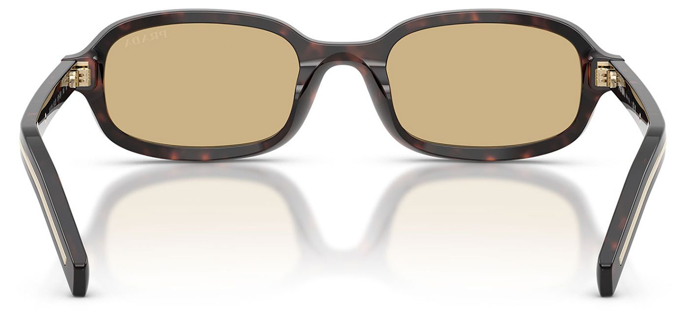 0PR_D06S__17N70R__P21__shad__bk