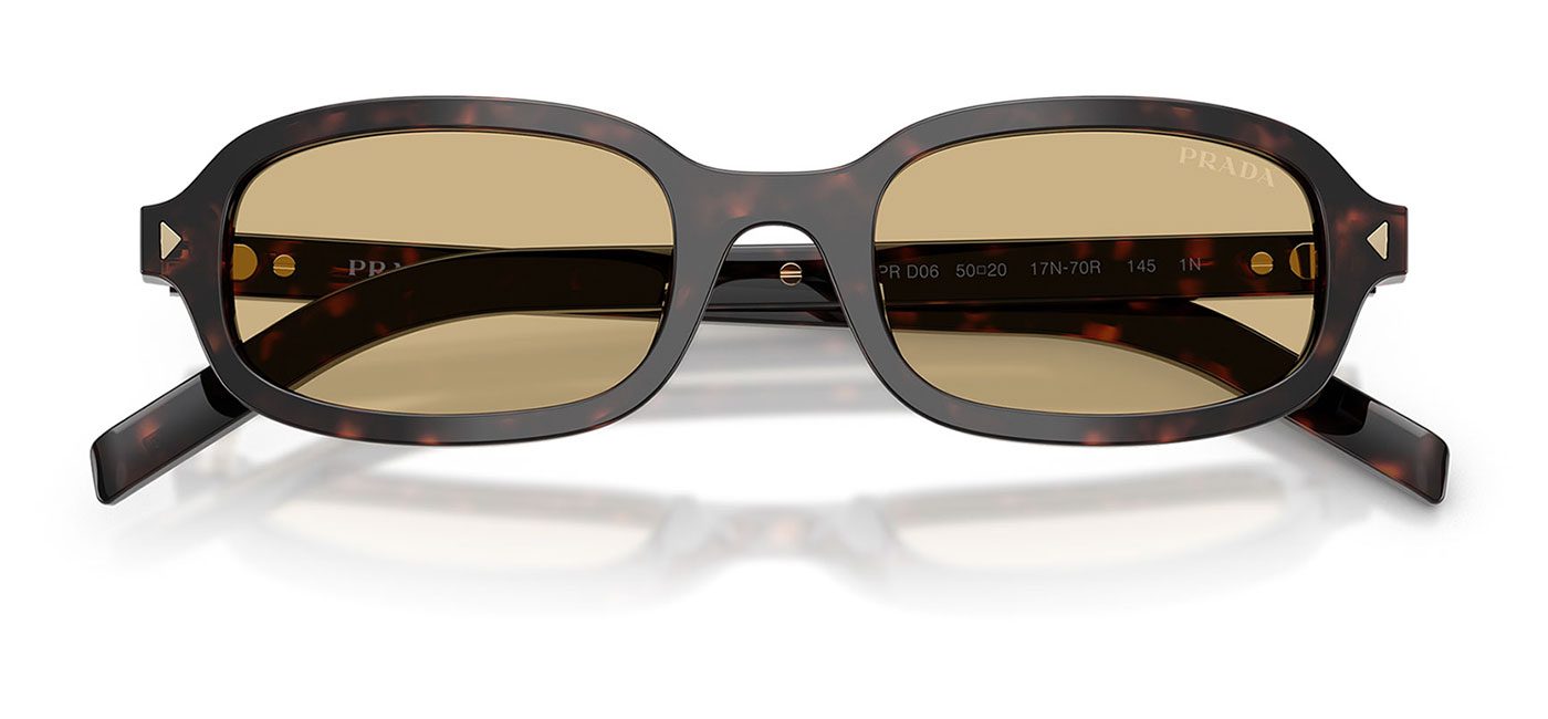 0PR_D06S__17N70R__P21__shad__cfr