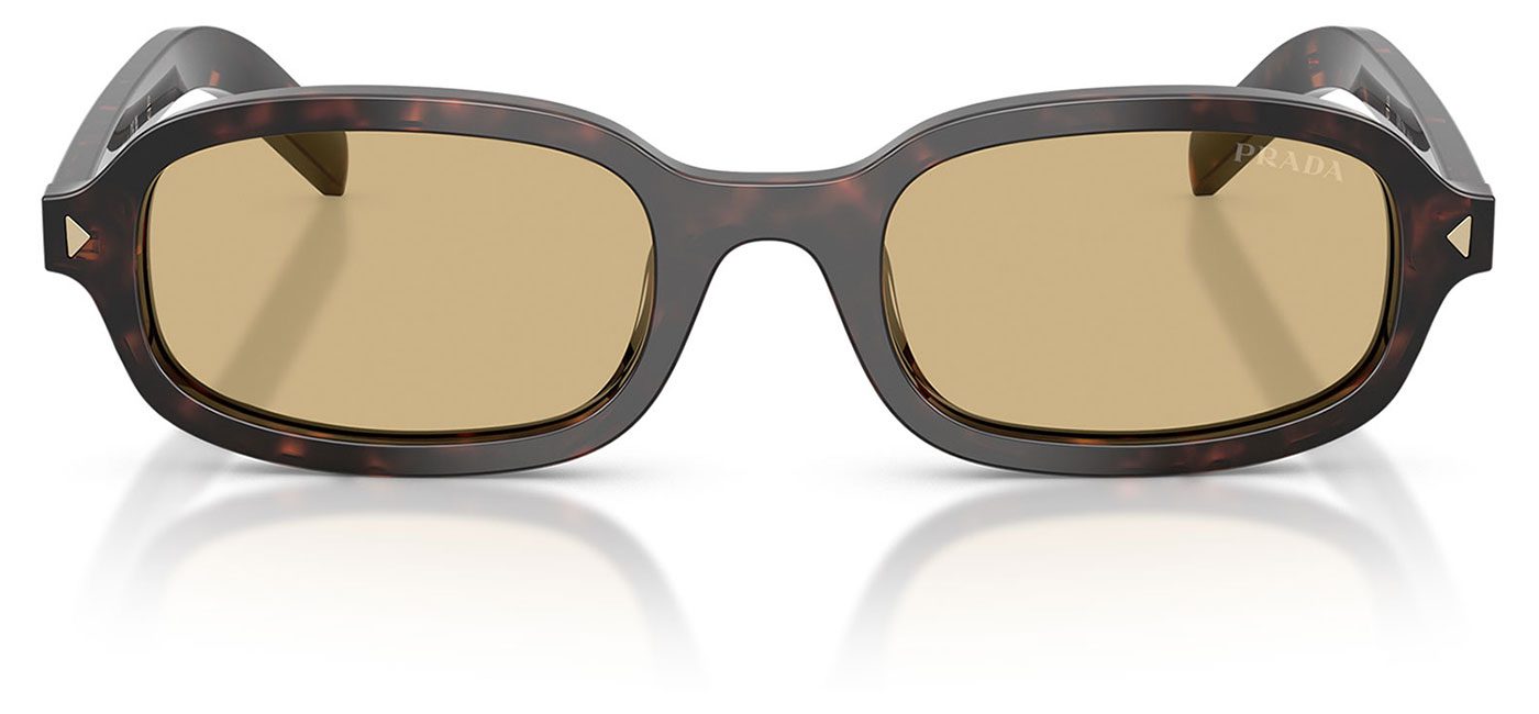 0PR_D06S__17N70R__P21__shad__fr