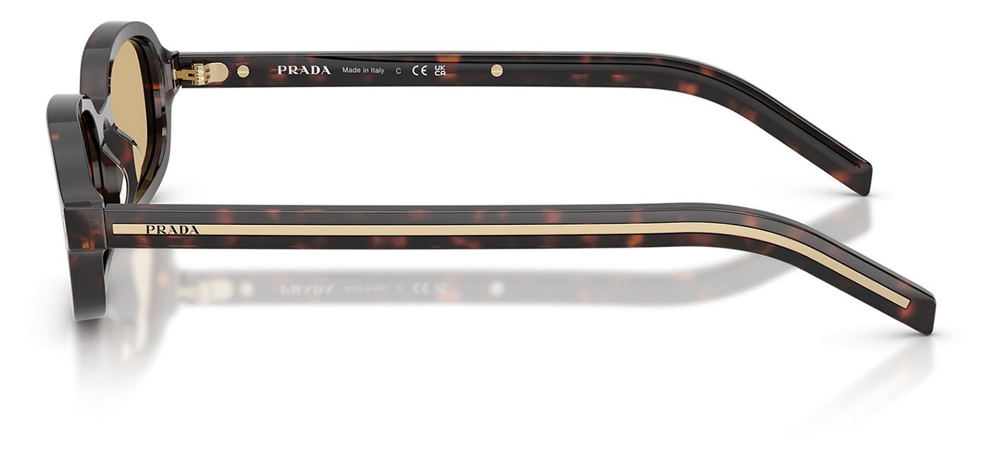 0PR_D06S__17N70R__P21__shad__lt