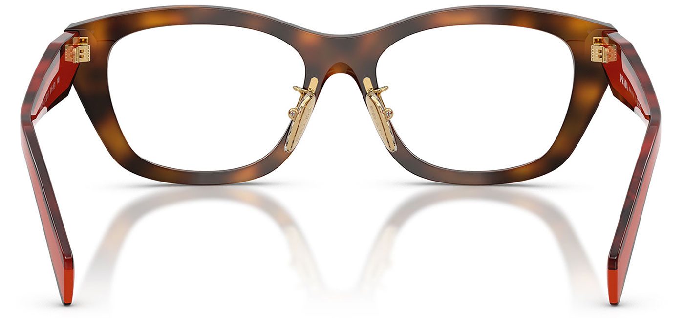 0PR_D11VD__01K1O1__P21__shad__bk