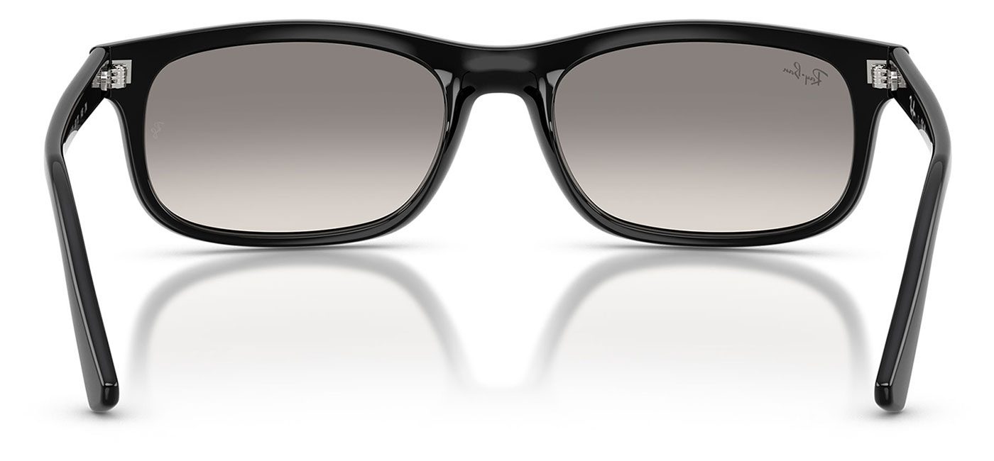 0RB2224__901_32__P21__shad__bk