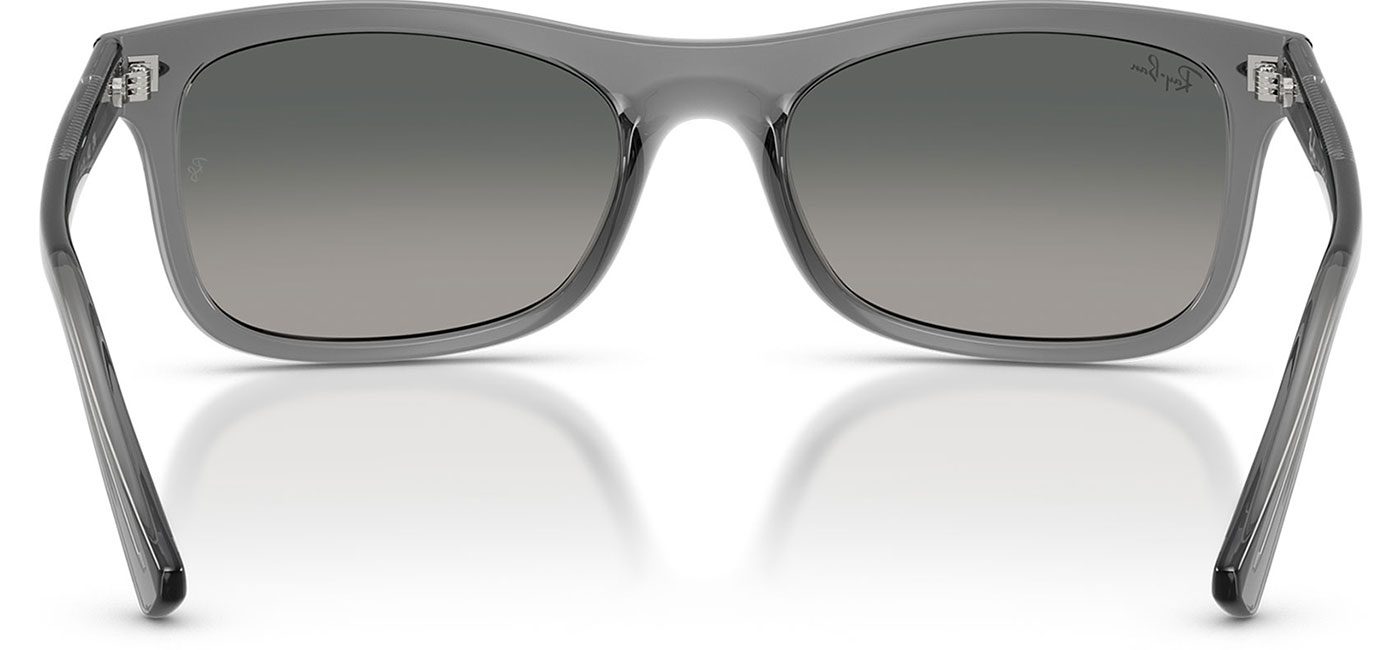 0RB2226__664171__P21__shad__bk