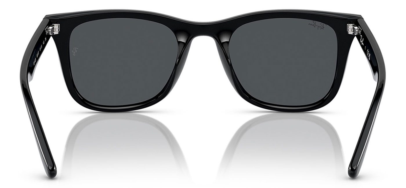 0RB4420__601_87__P21__shad__bk