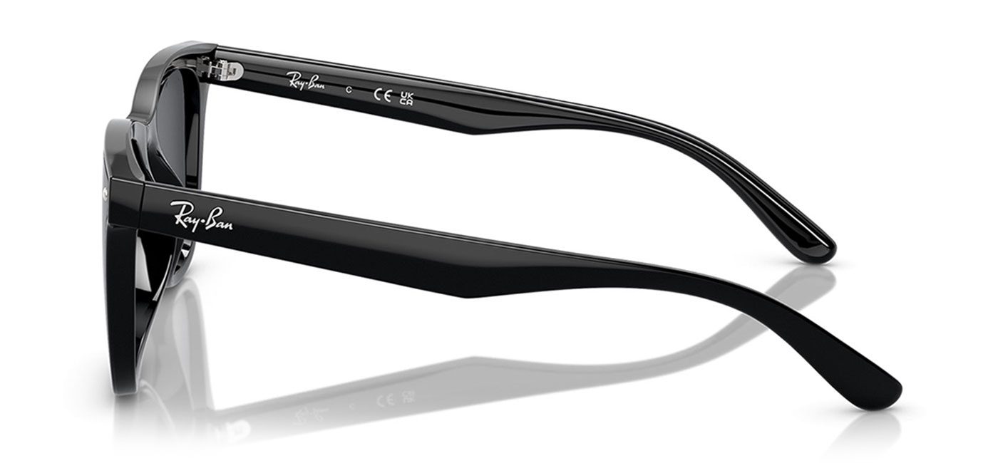 0RB4420__601_87__P21__shad__lt