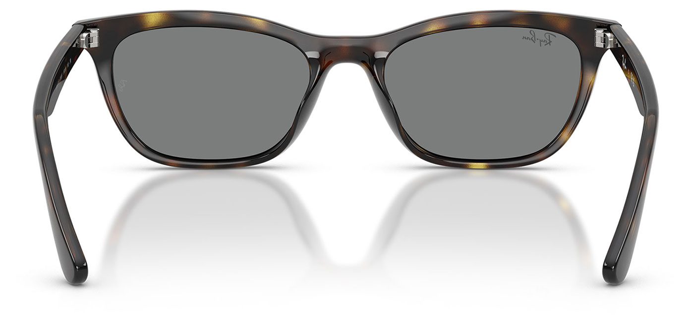 0RB4474D__710_87__P21__shad__bk