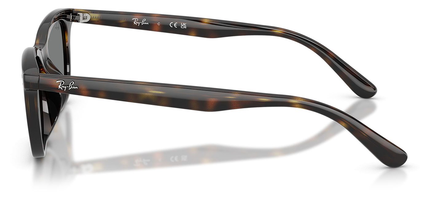 0RB4474D__710_87__P21__shad__lt